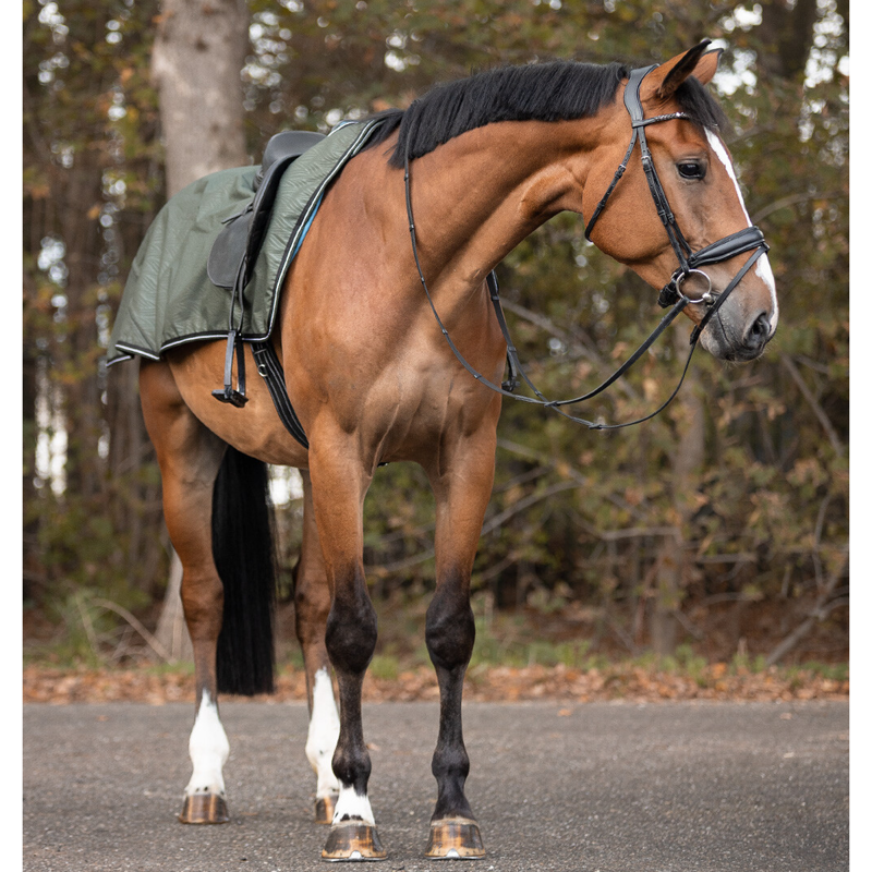QHP Turnout Collection Fleece Lined Exercise Sheet - Botanista-1